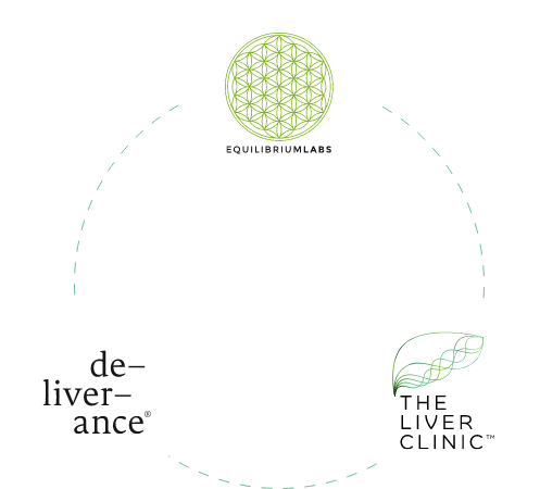 graphic that shows equilibrium labs, the liver clinic and deliverance connected by dots
